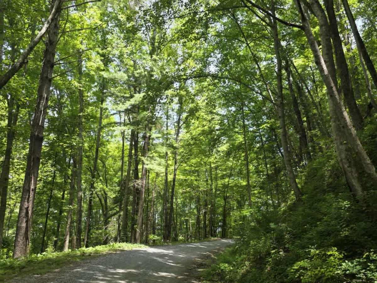 Round Mountain Road photo 4