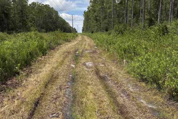 South Powerline Road