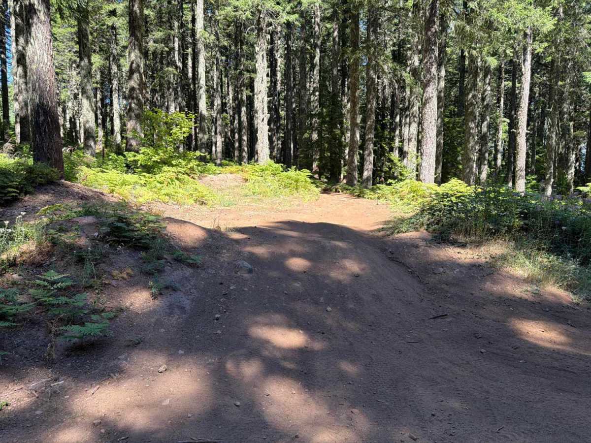 Upper Neal Creek Road photo 5