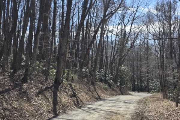 Walnut Mountain Road