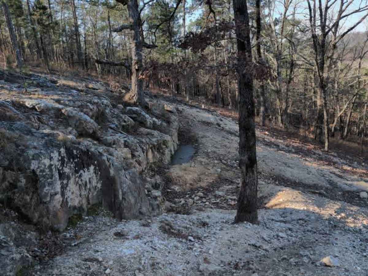 F49 Hard Way Up trail photo