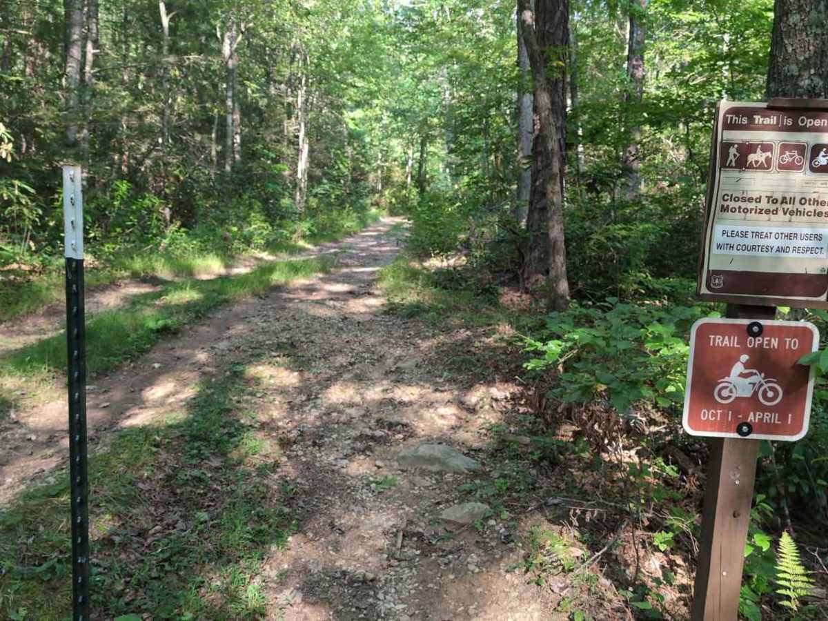 Virginia Highlands Horse Trail trail photo