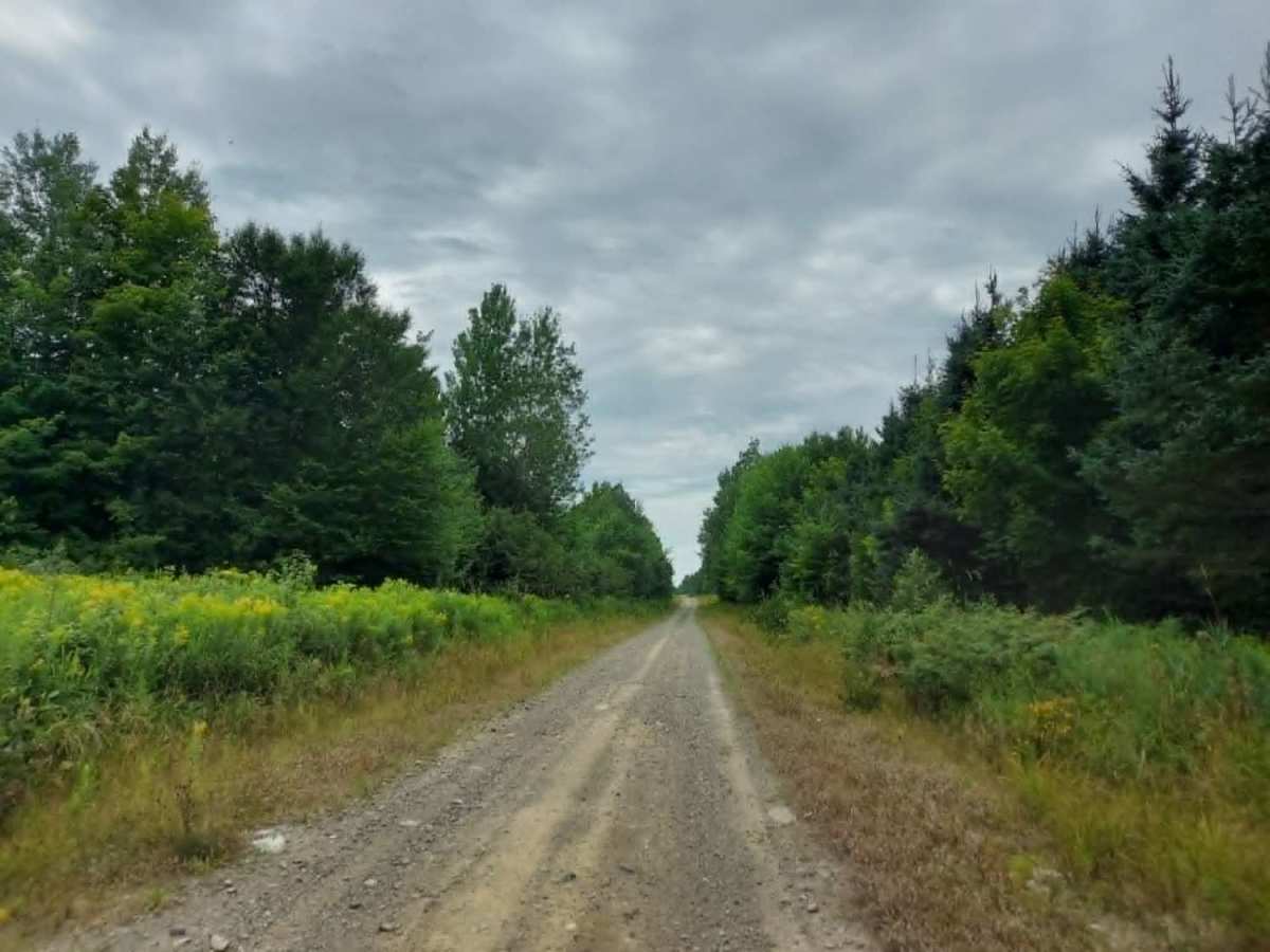 Bear Brook Road photo 2