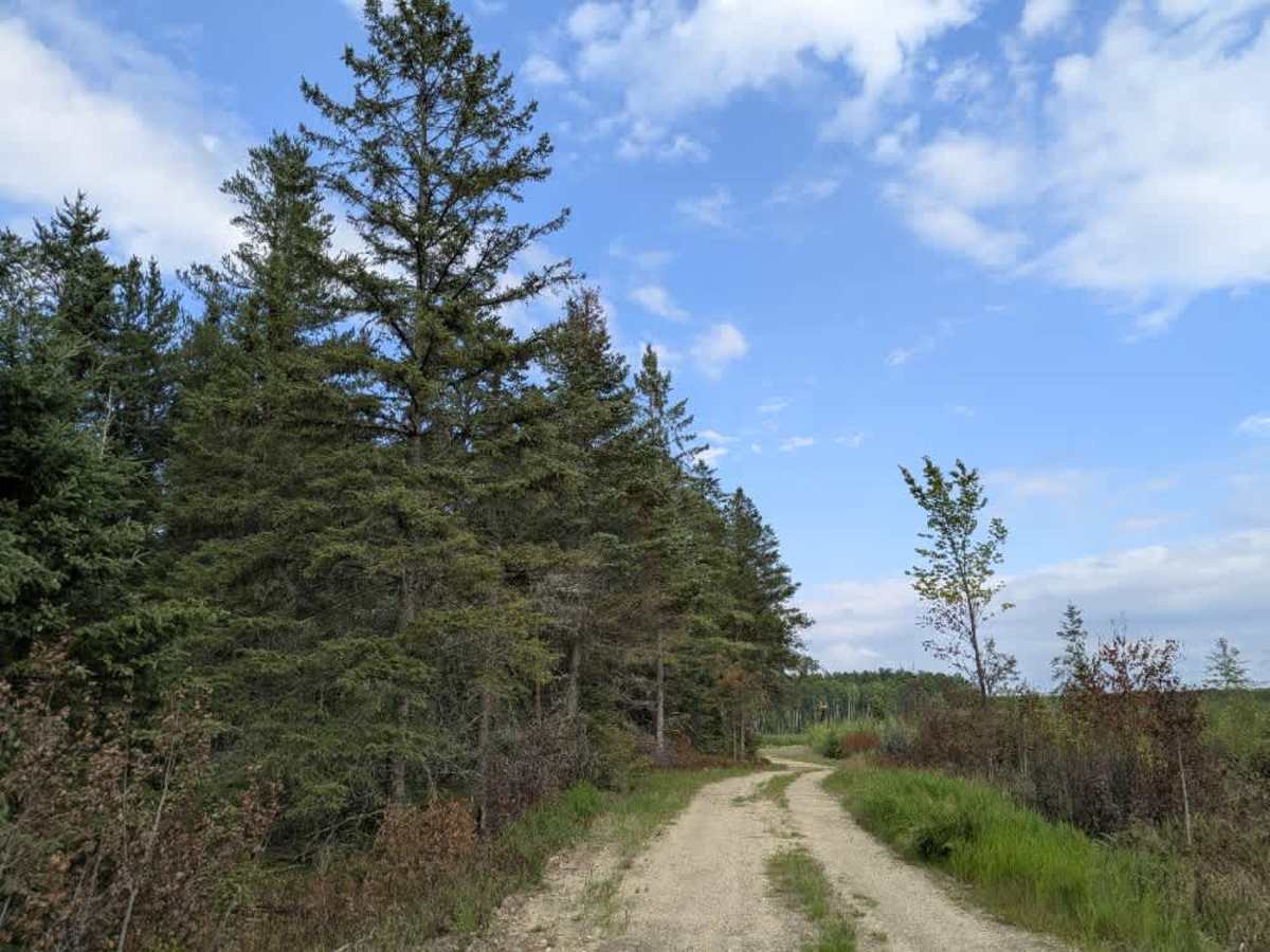 Galvin Road trail photo