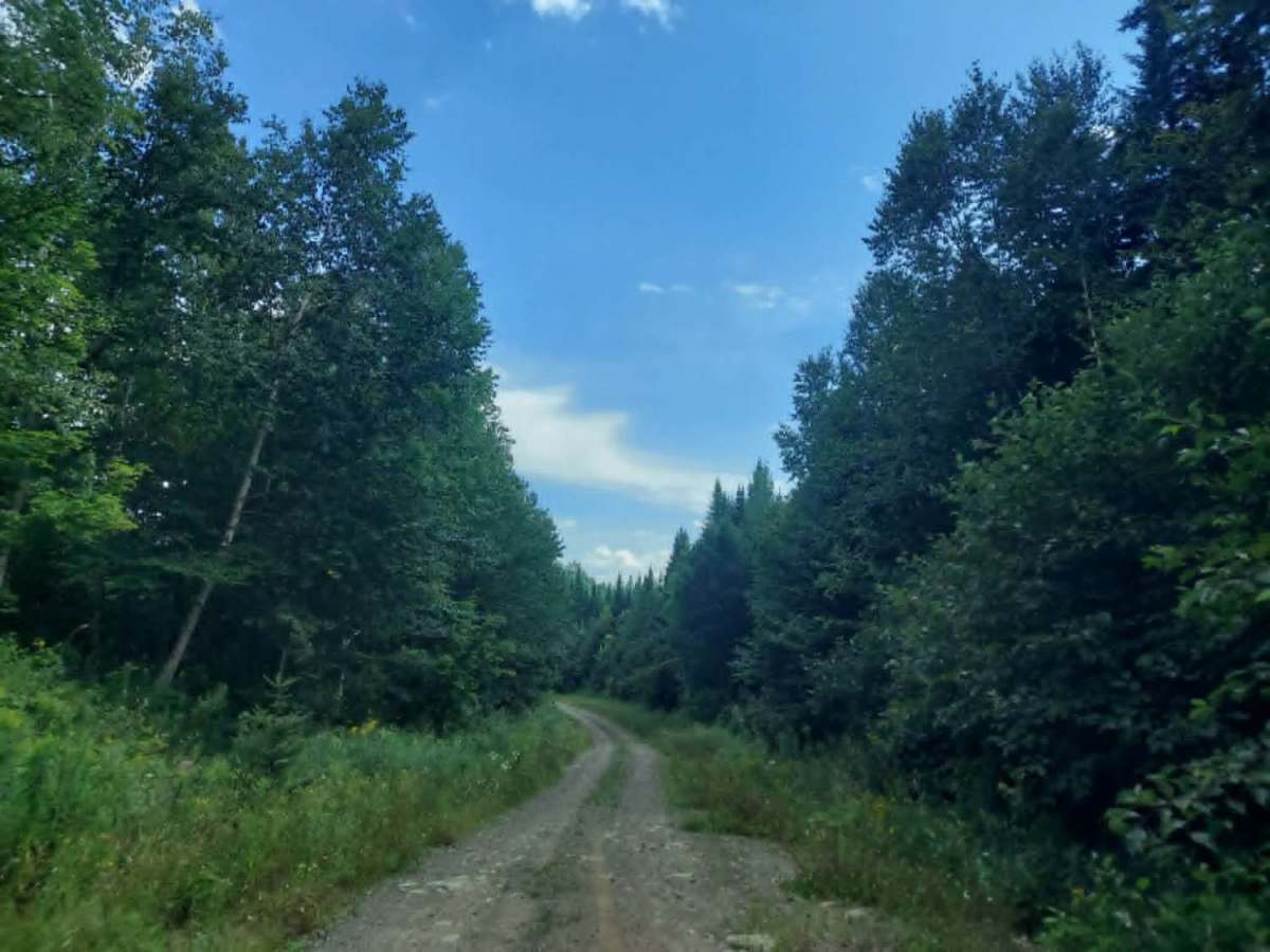 Presque Isle Stream Traverse photo 3