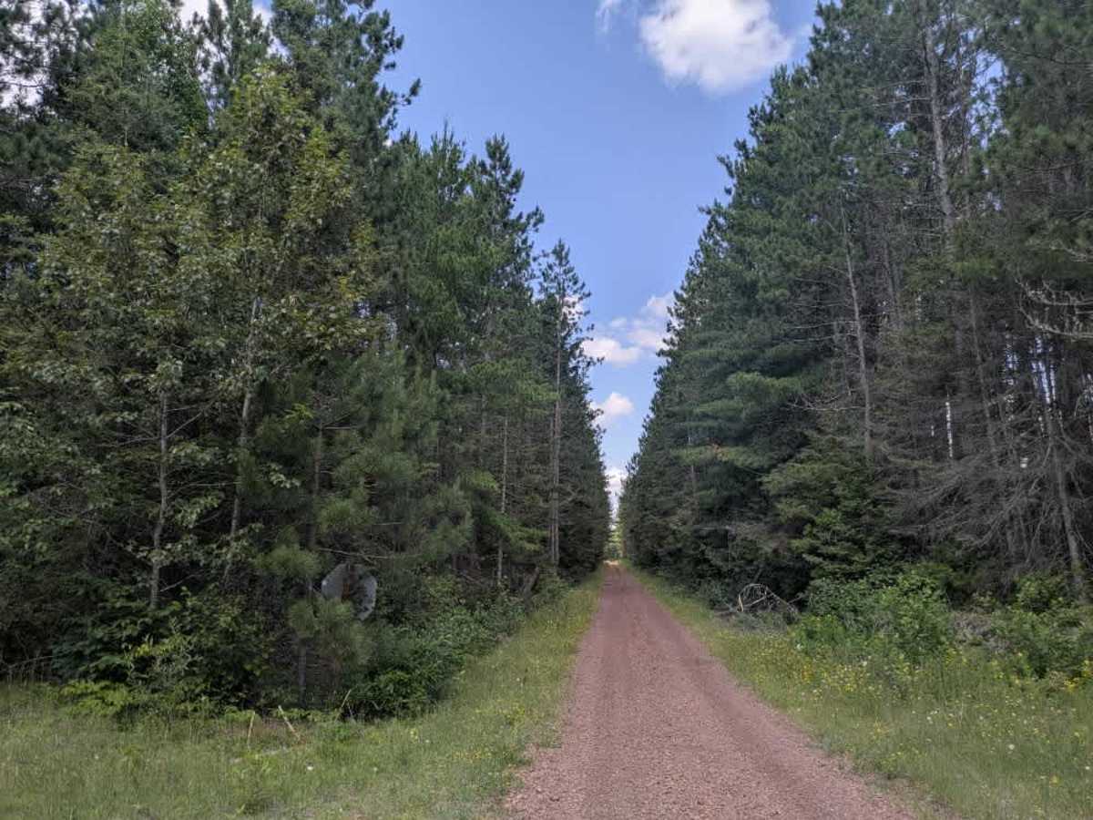 Dmir Grade trail photo