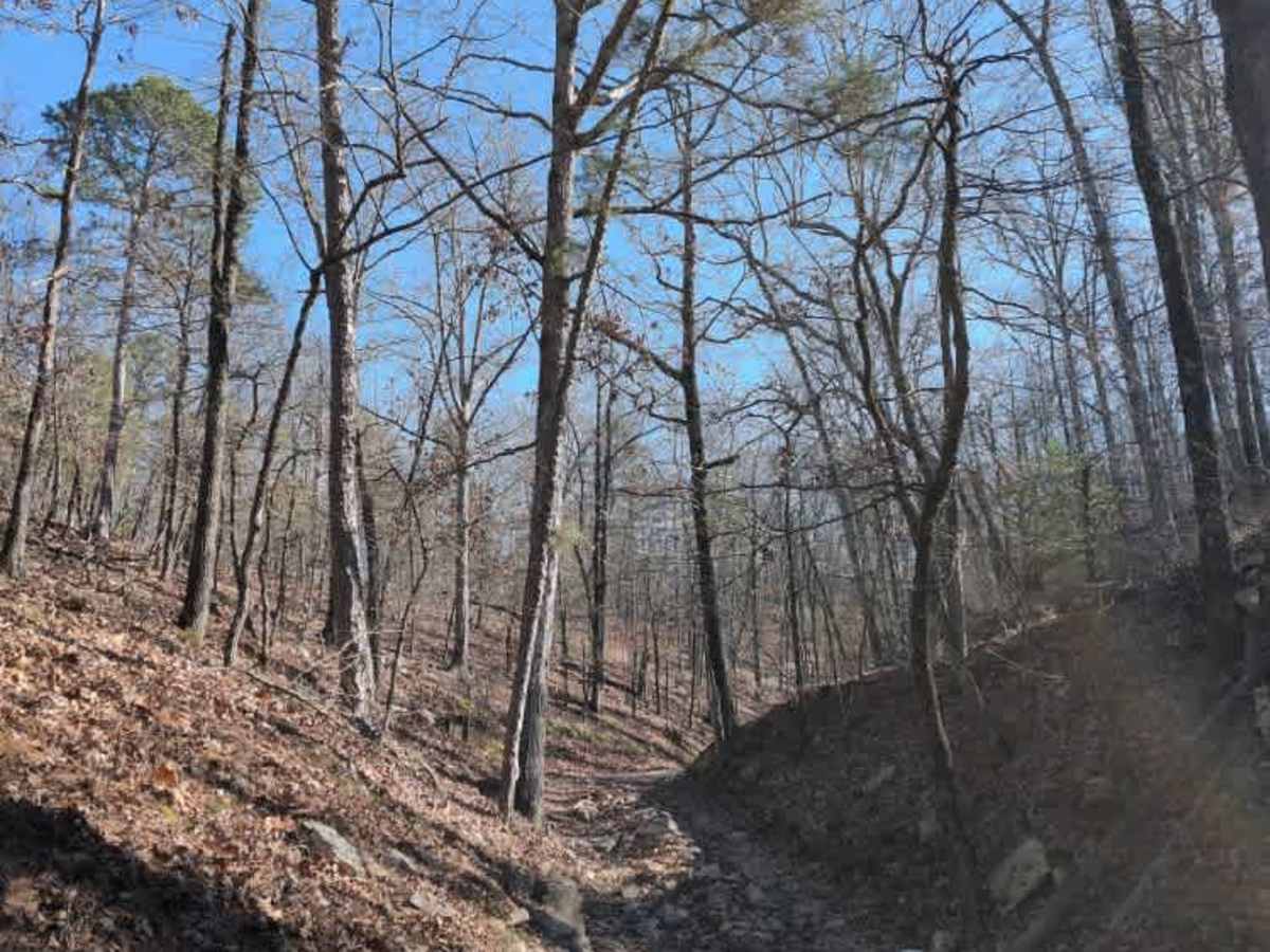 F5 Rock Fink Ravine photo 5