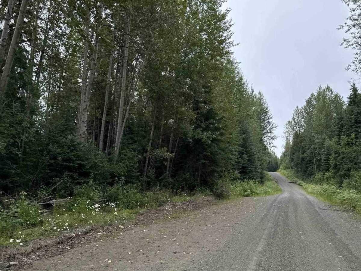 Slender Lake FSR trail photo