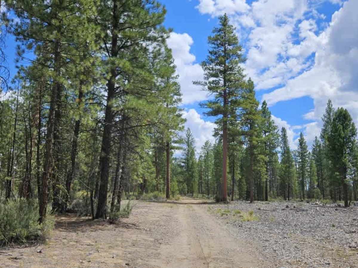 FS 4990765 trail photo
