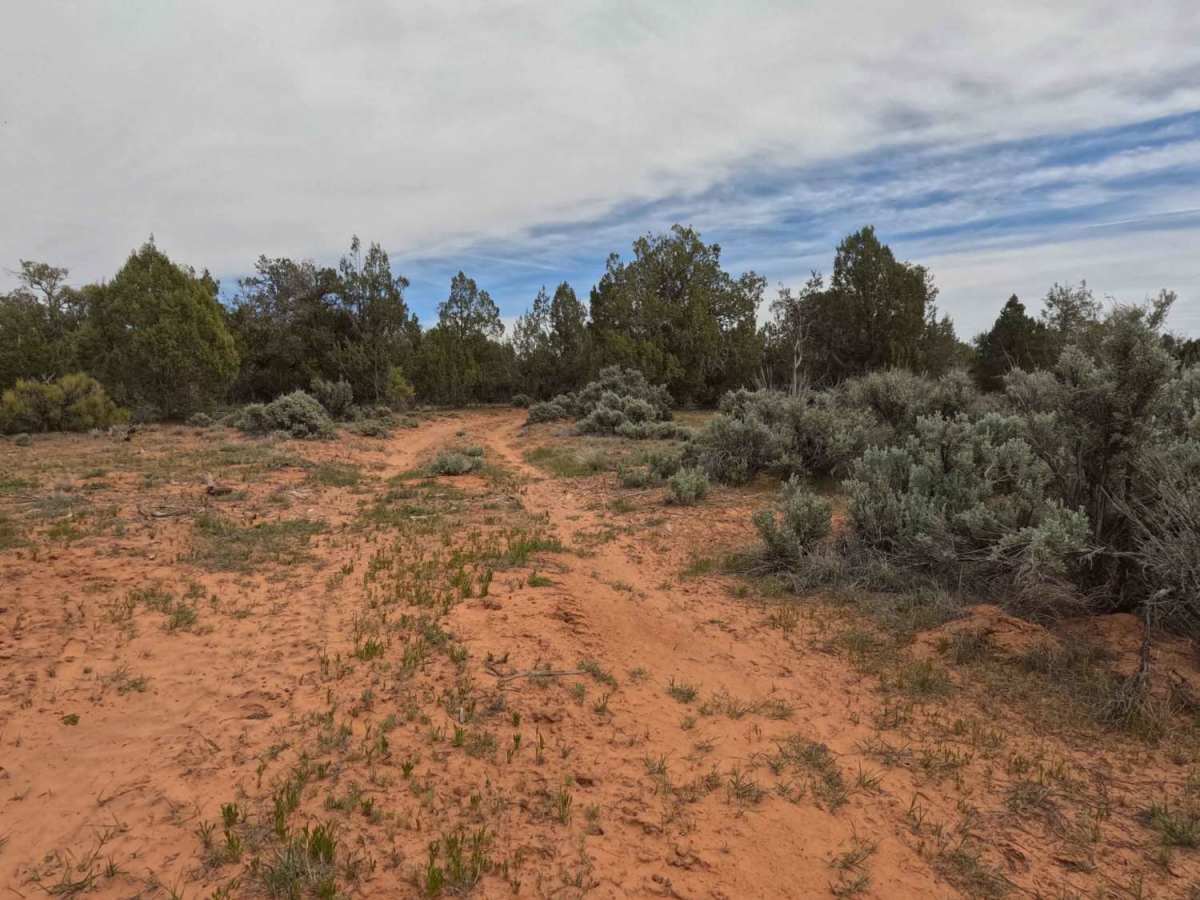 State Lands Spur - BLM 74  trail photo