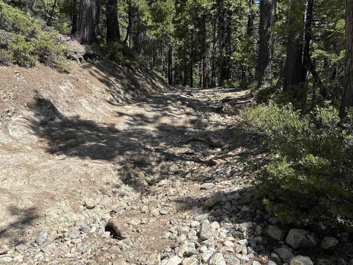 Weaver Lake photo 3
