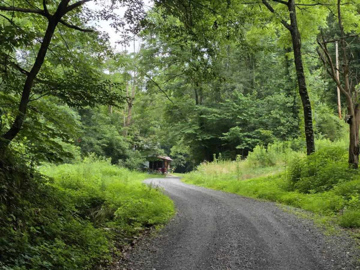 Knight Road - Macon County Tour photo 4