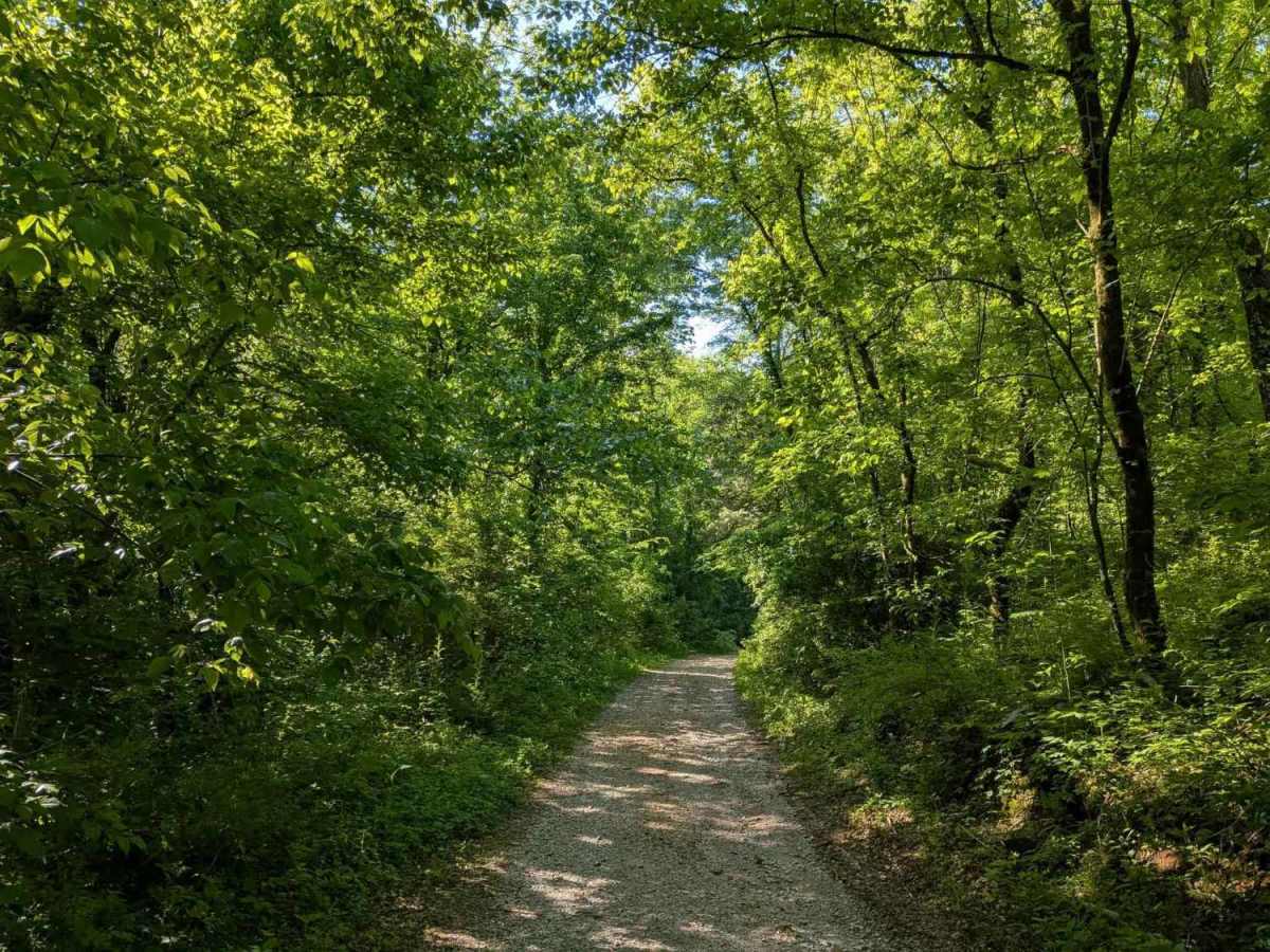 Whites Gap Road photo 6