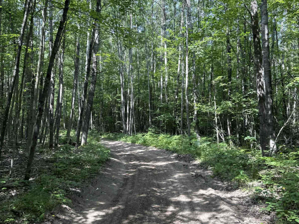 Ann Arbor Trail H7 photo 6