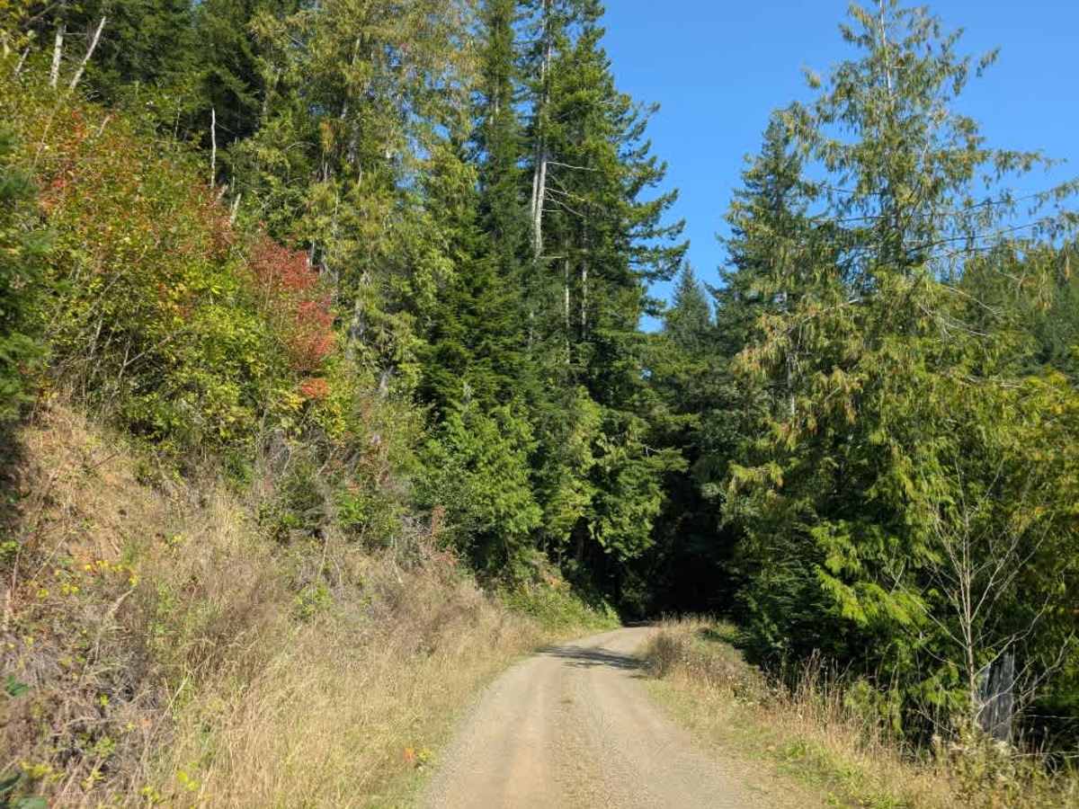 David Ridge Road photo 2