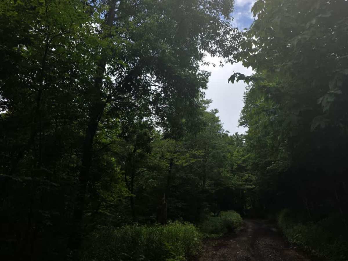 Camp Creek Bald photo 3