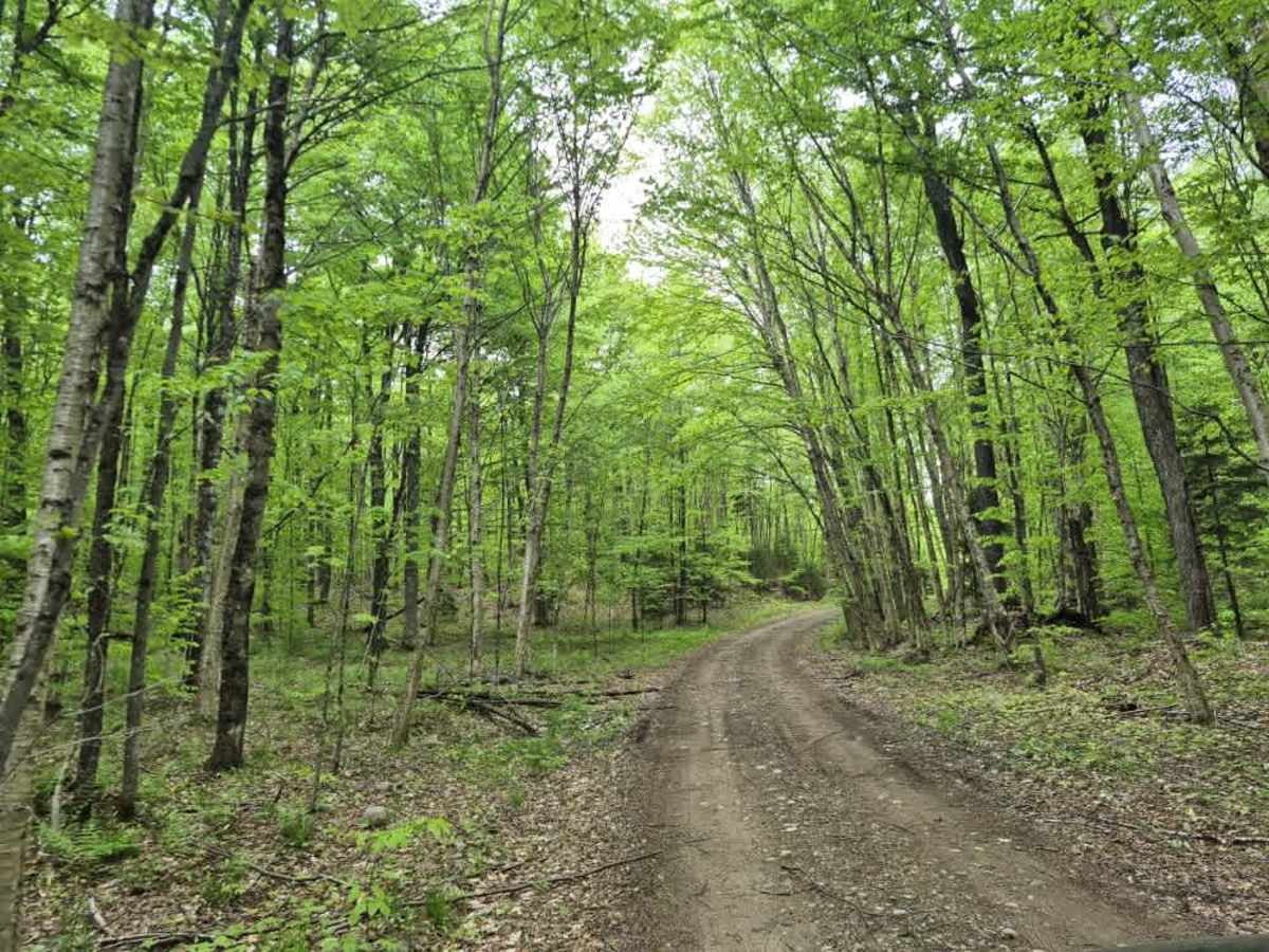 Otter Brook Road photo 4
