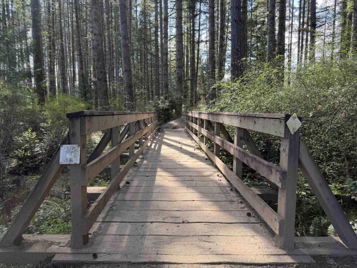 Overland Trail East trail photo
