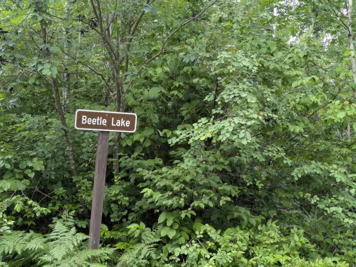 Bandana Trail photo 5