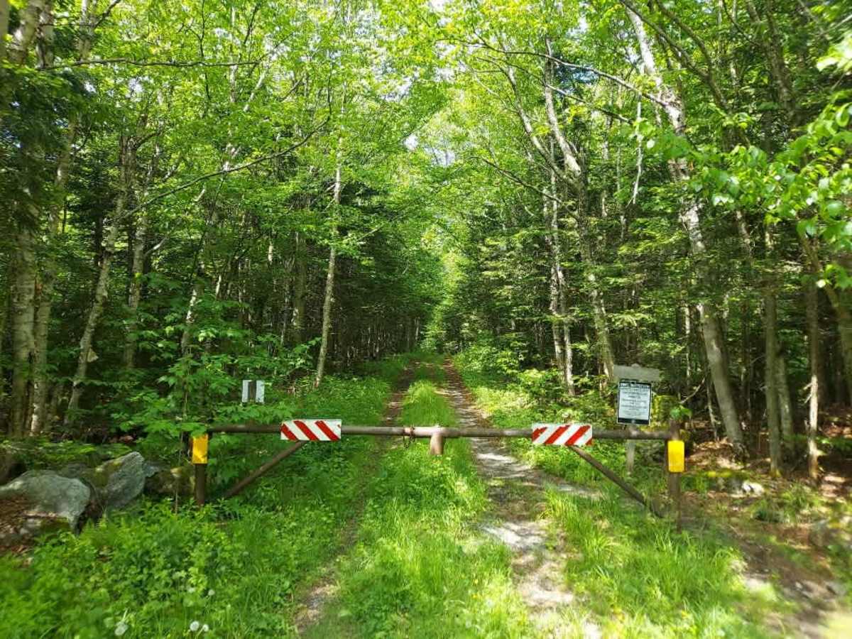 Staples Brook Road photo 5