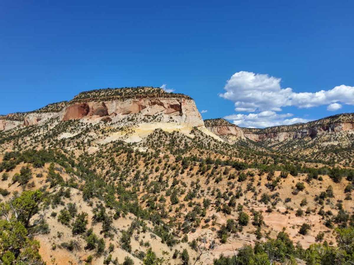 BLM 106F trail photo