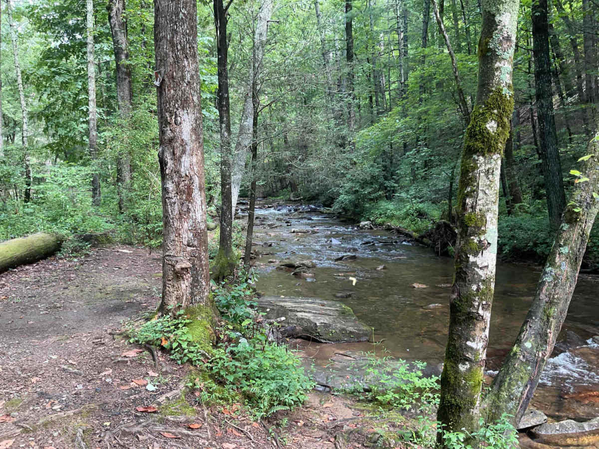 FS-44A Upper Low Gap Creek photo 3