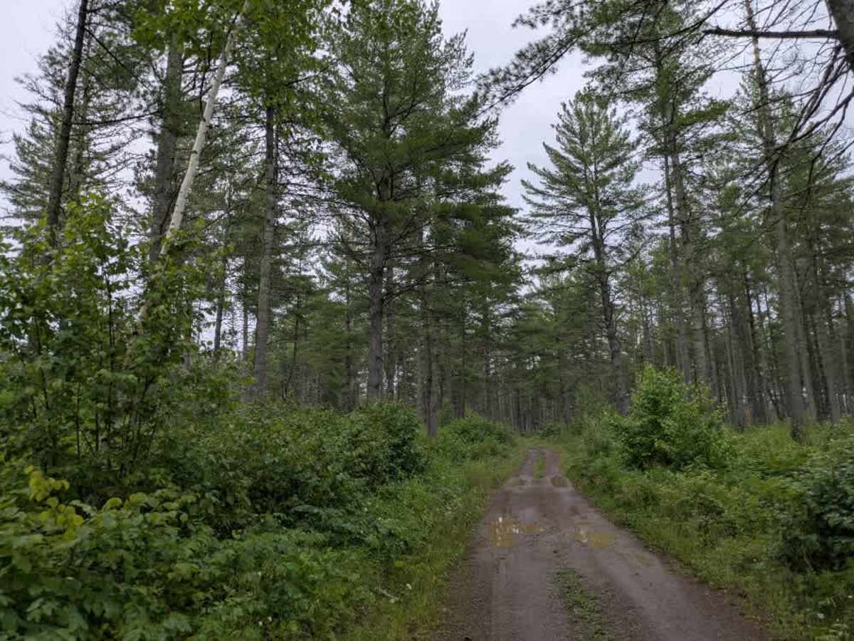 Jackpot Trail photo 4