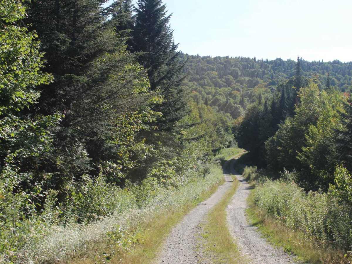 Rump Mountain Trail photo 3