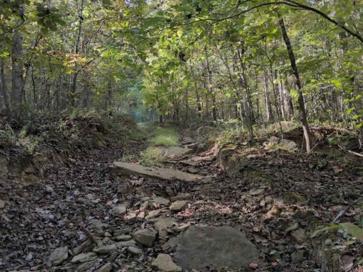 #102 Jake's Hill photo 4