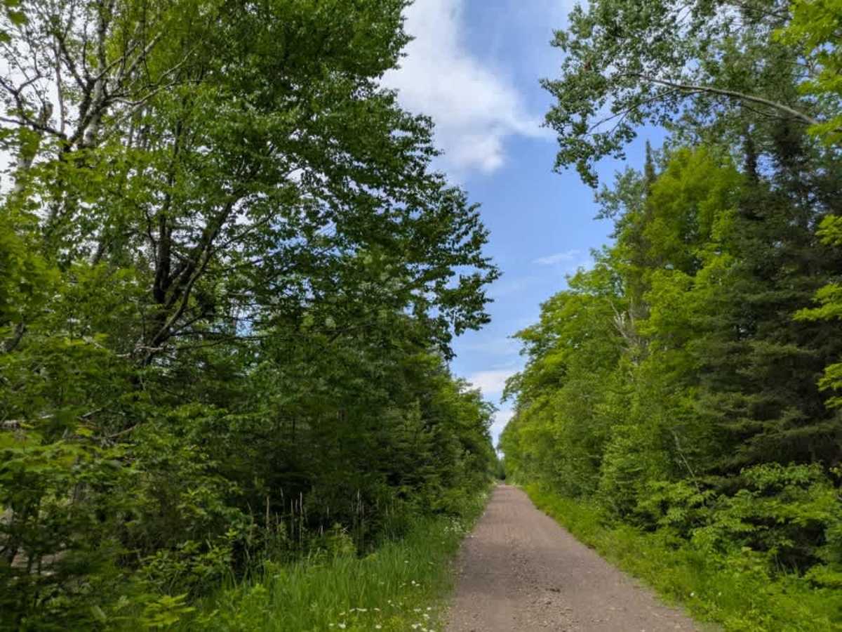 Kane Lake trail photo