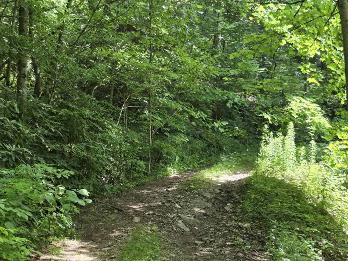 Rattlesnake Road photo 2