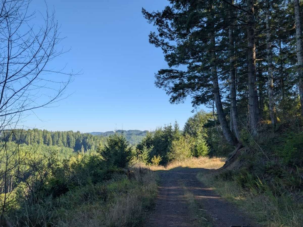 2560 trail photo