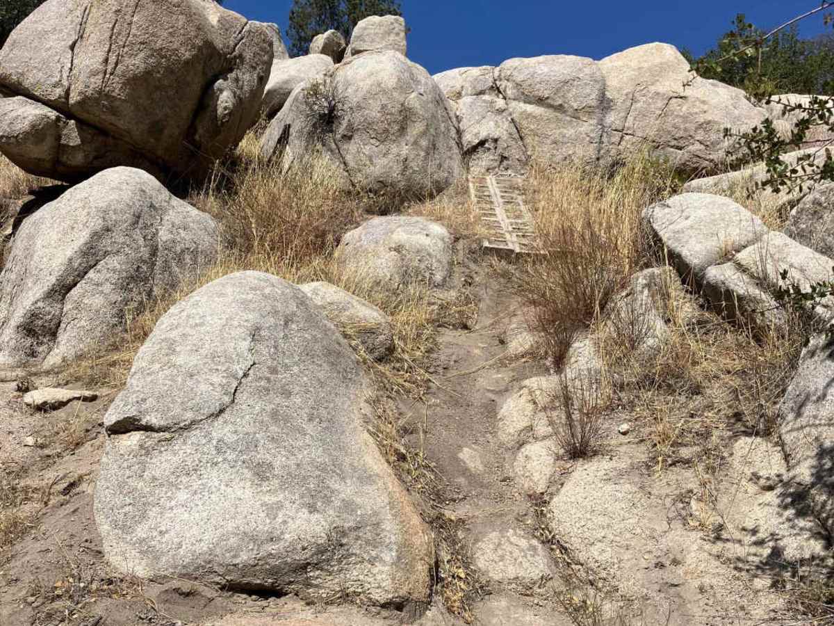 Snake Pit Trail photo 6