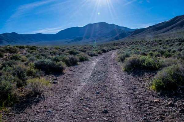 Nemo Canyon Road