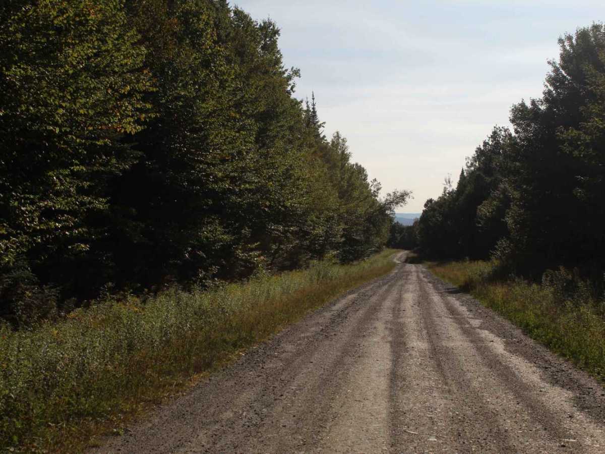 Smith Brook Road photo 4
