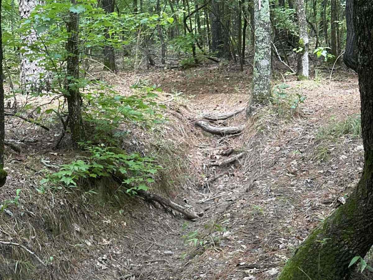 Woodpecker Ridge photo 2