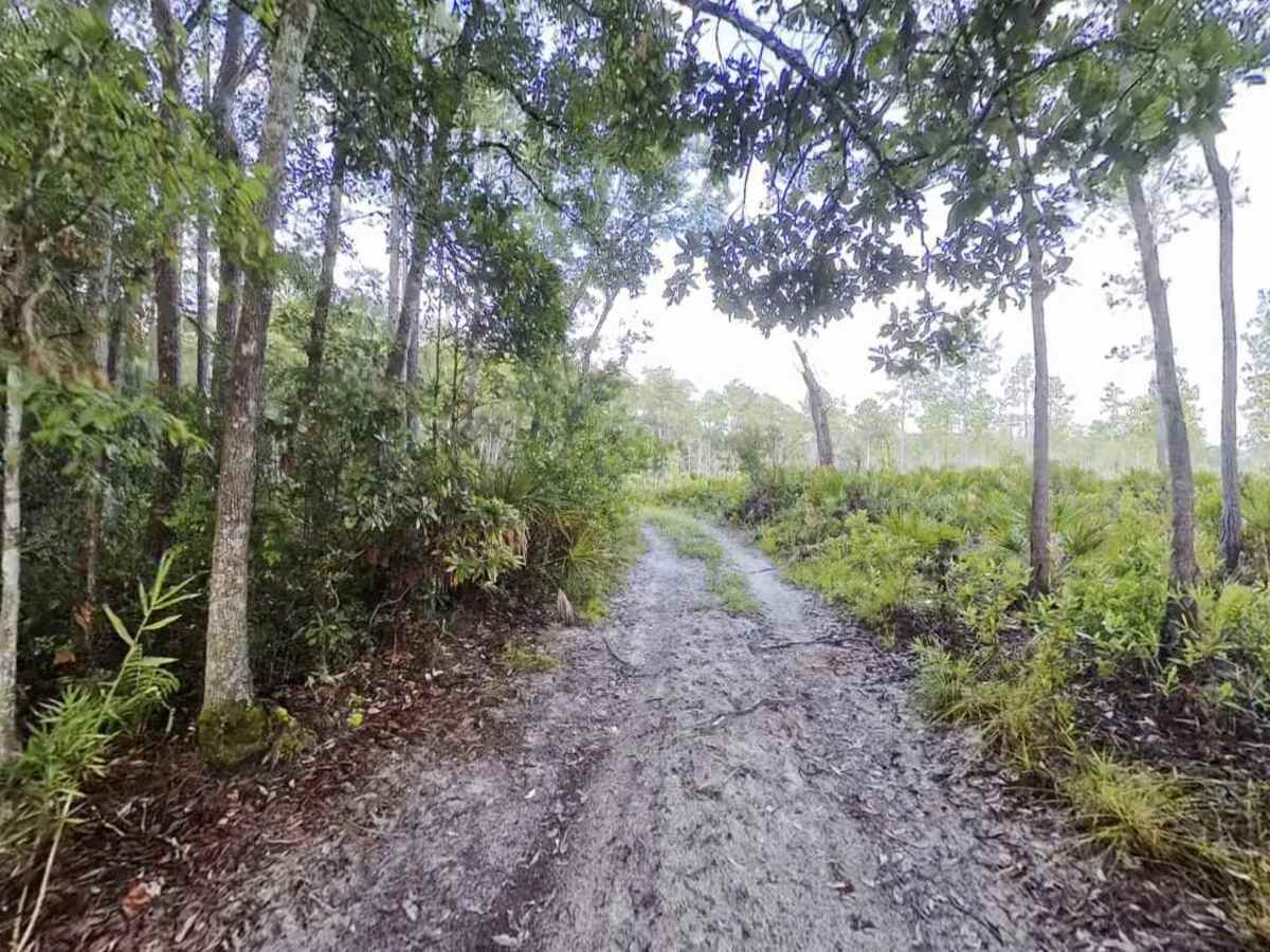 Nolan Ridge Road trail photo