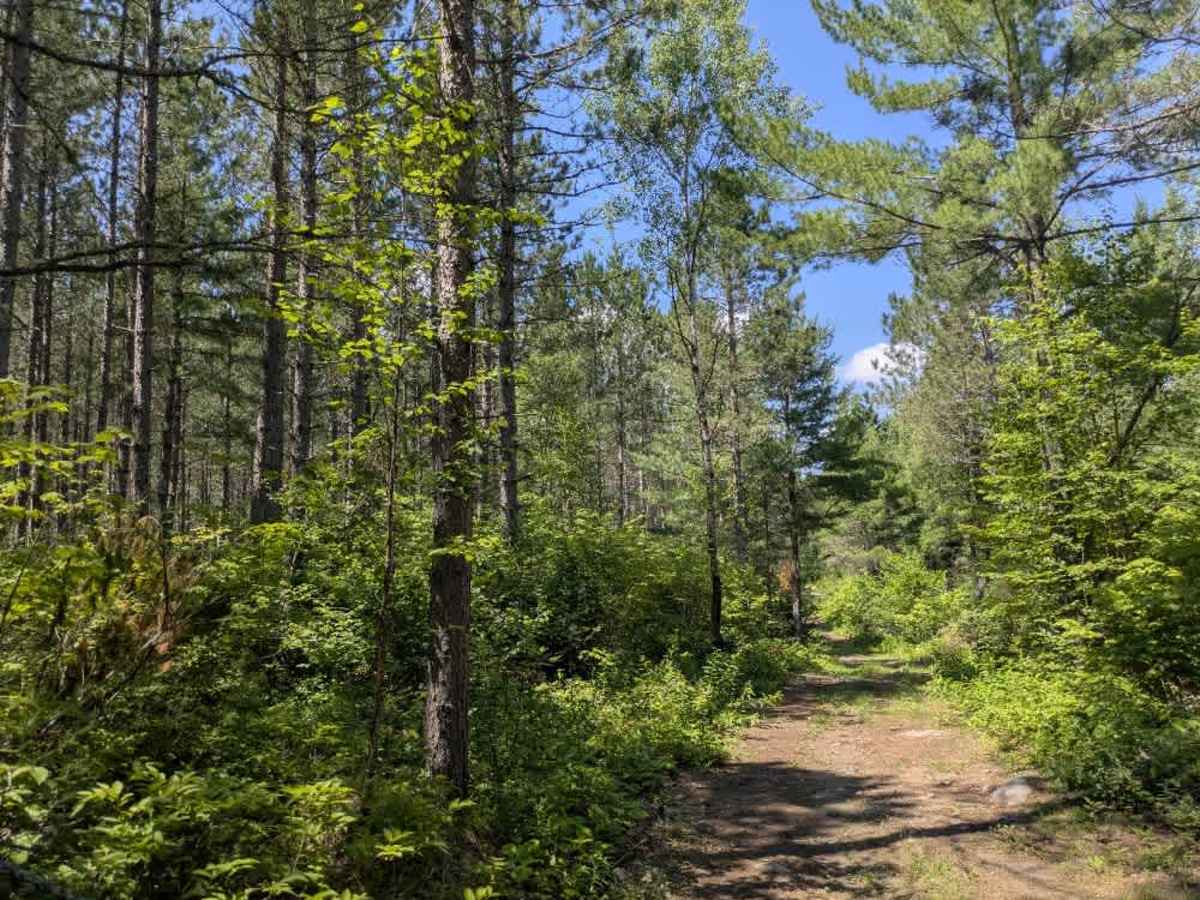 Bushel Lake photo 2