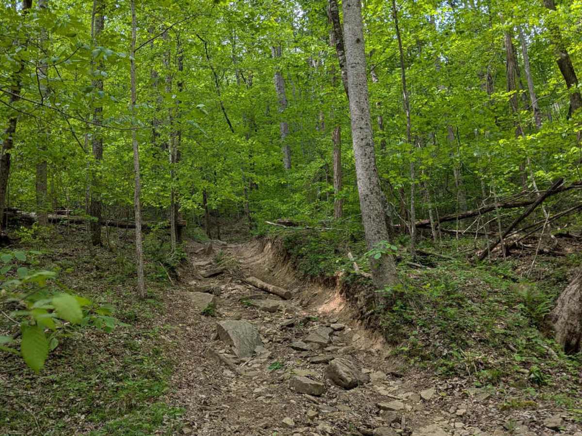 Trail 87 trail photo