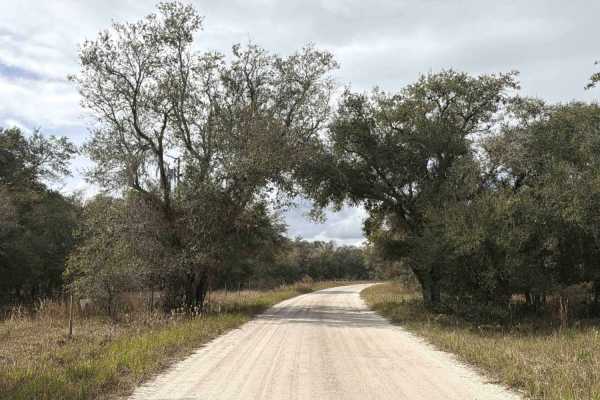 Road 16 - Three Lakes WMA
