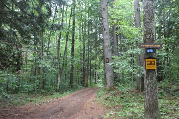 Catspaw Lake Road