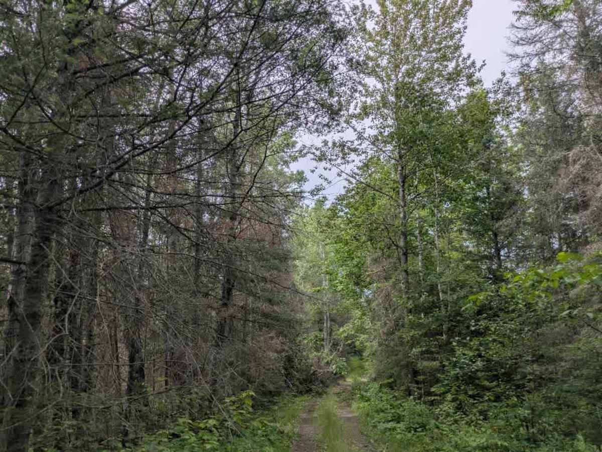 Pequaywan/Brimson Trail photo 3
