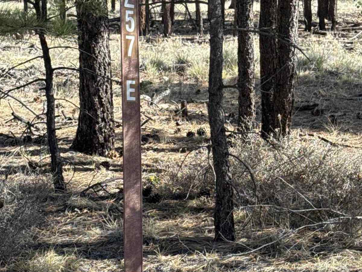 FS 257E trail photo