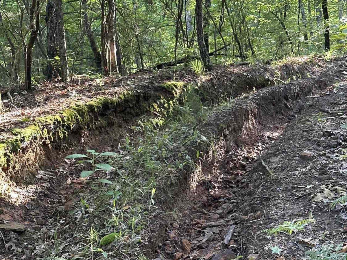 You Scared trail photo