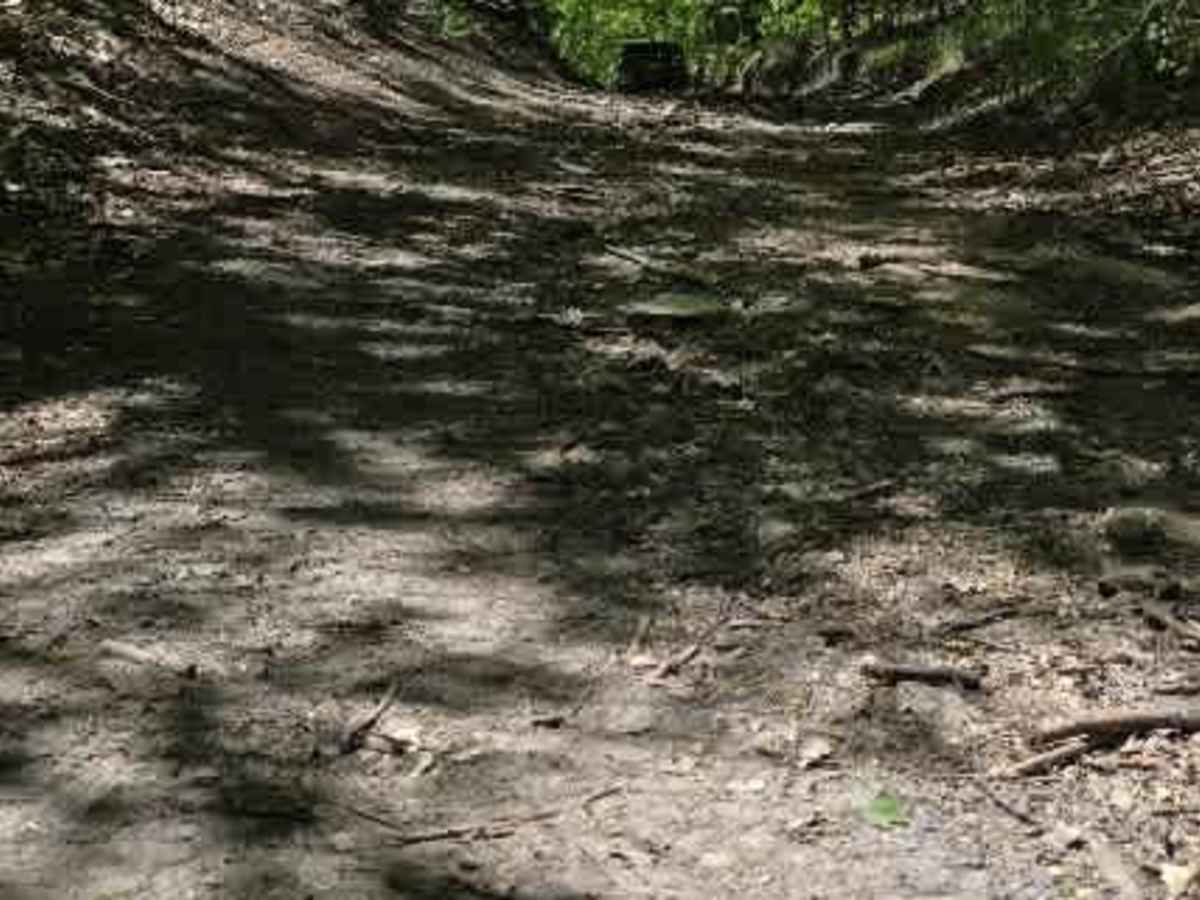 DJ's Hill Climb photo 2