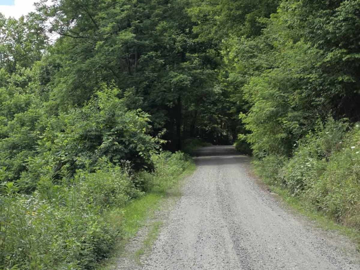 Little Creek Road photo 5