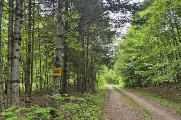 Otter Brook Road