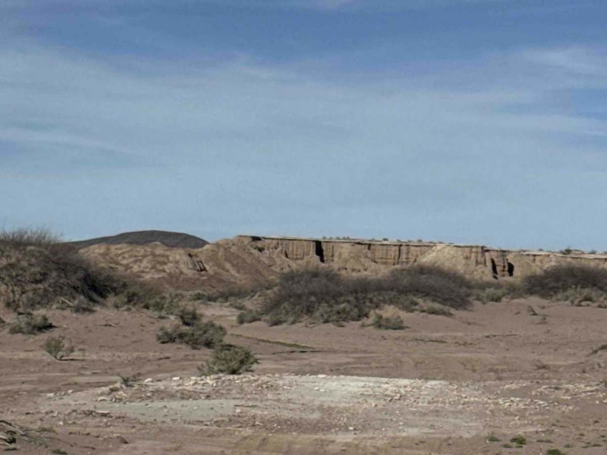 Ss1104 photo 4