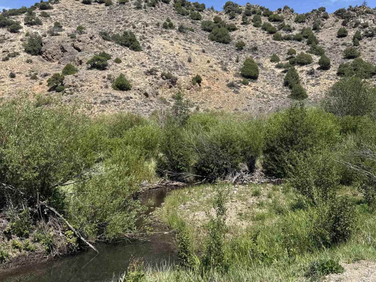 County Road 213 photo 3