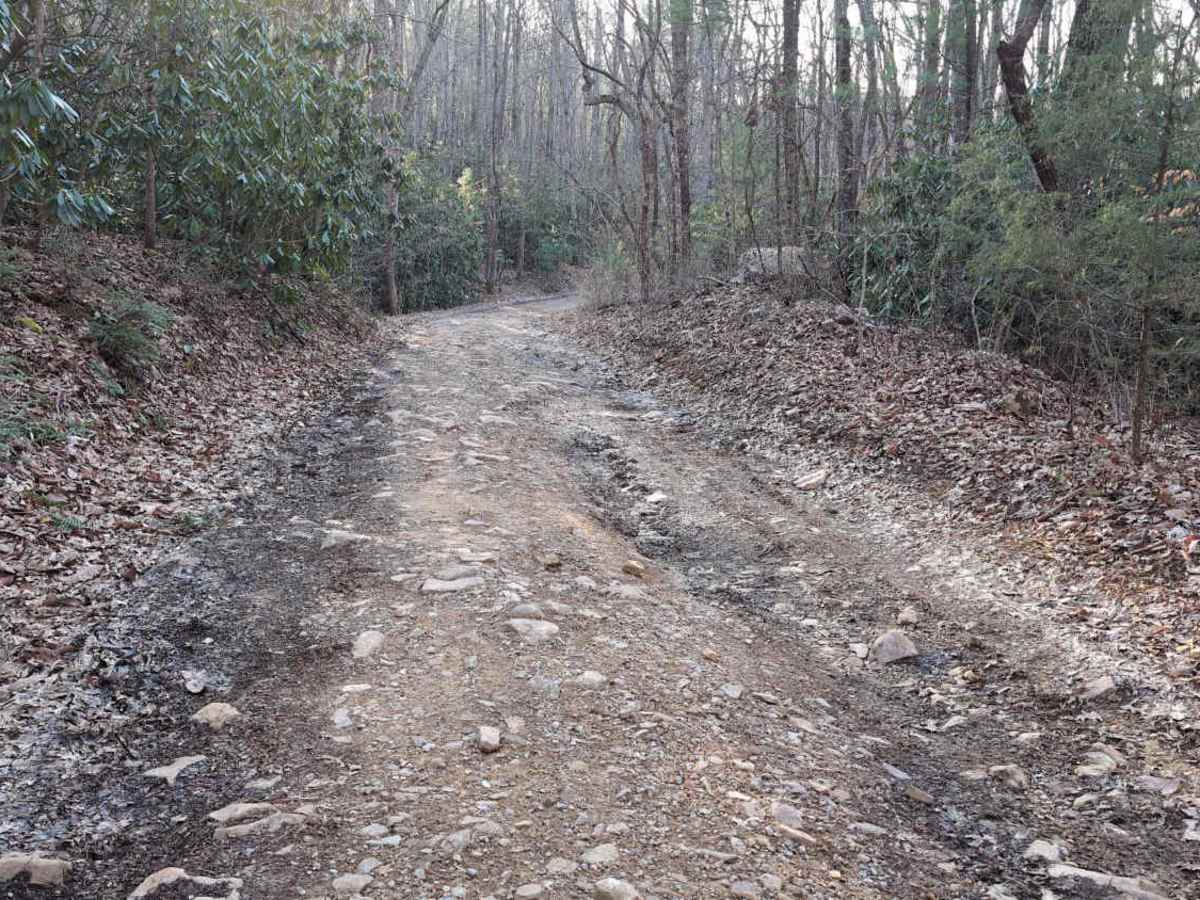 Government Road - FS 43 photo 5